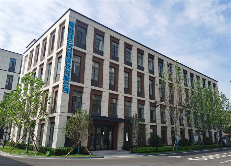 公司实力